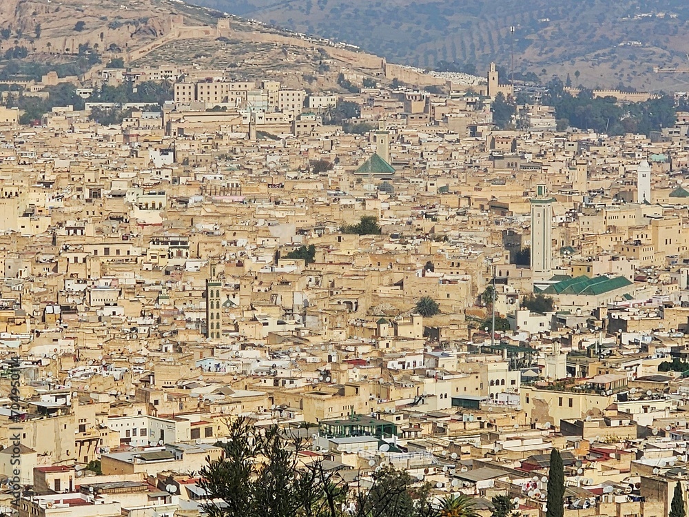 View of Fez from the viewpoint, Morocco