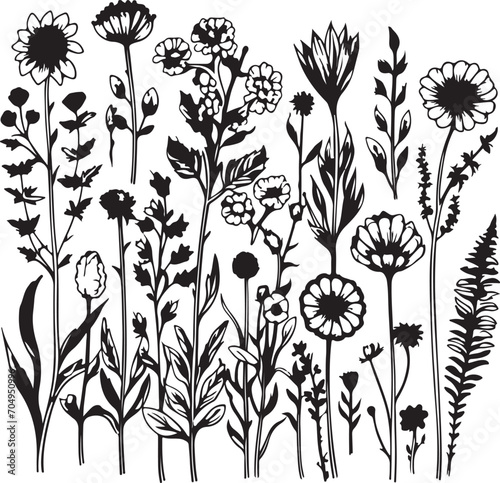 hand drawn set of beautiful flowers 