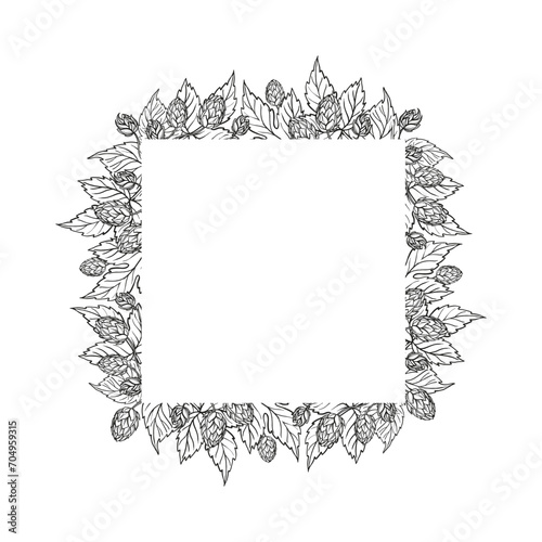 Hand drawn vector frame with hop plant, leaves and buds, craft beer ingredients, black and white illustration of branch humulus lupulus, inked illustration isolated on white background