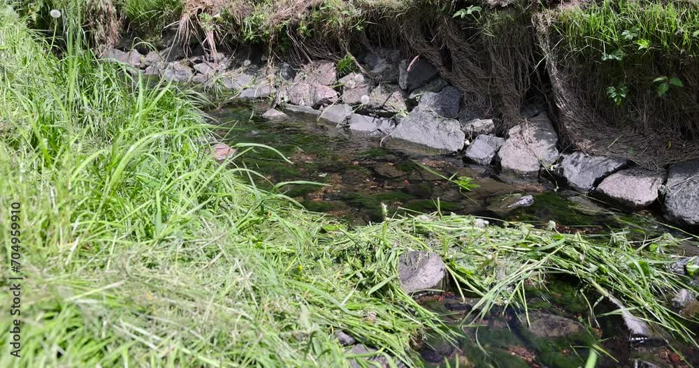water flowing in a small narrow stream in summer, a small stream with water in a city park water flowing in a small narrow stream in summer, a small stream with water in a city park
