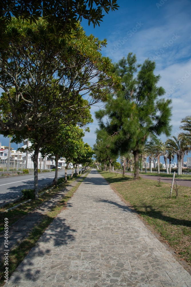 両側に木々が並ぶ公園の直線の遊歩道