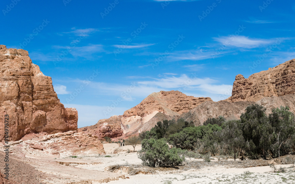 desert oasis in the middle of high rocky mountains in Egypt Dahab South Sinai desert oasis in the middle of high rocky mountains in Egypt Dahab South Sinai