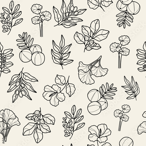 Line art ayurvedic plants seamless pattern