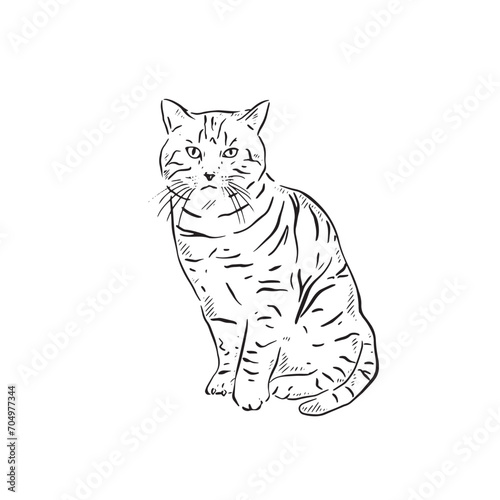 A line drawn illustration of a farm tabby cat in black and white. Hand drawn and vectorised for a multiple of uses.