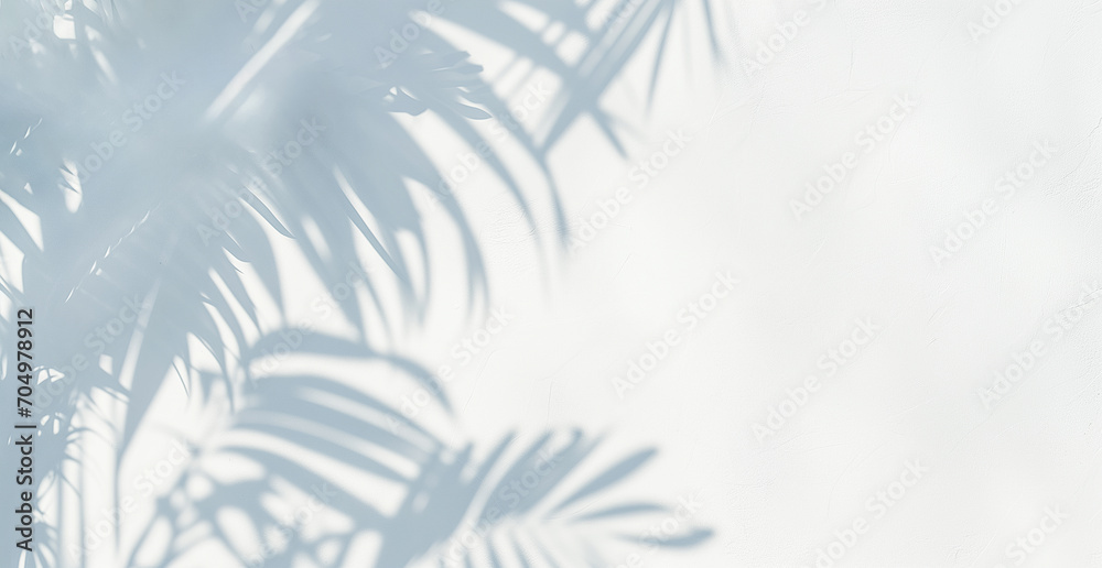Obraz premium Abstract silhouette shadow white background of natural leaves tree branch falling on wall. blurry shadow of tropical leaves morning sun light. 