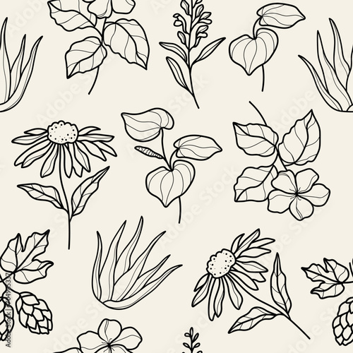 Line art medicinal plants and flowers background