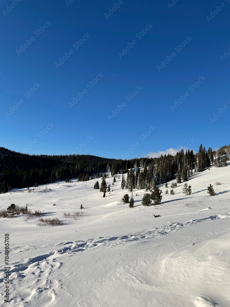 back country ski slope in Colorado