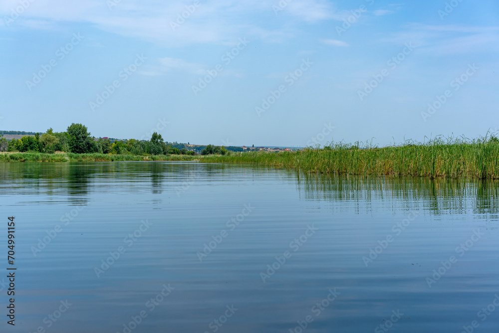 Different images of reeds on the river.