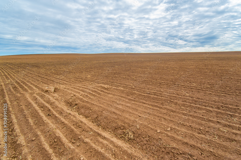 Prepare the ground for successful crop growth. A thoroughly plowed field is ready for sowing seeds. Fertile soil guarantees a bountiful harvest.