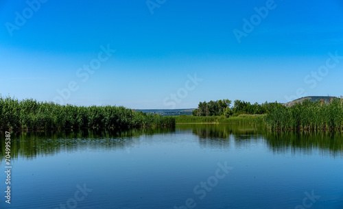 Fototapeta Naklejka Na Ścianę i Meble -  Different images of reeds on the river.