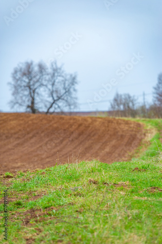 Fototapeta Naklejka Na Ścianę i Meble -  Enjoy the beauty and abundance of nature during the harvest season. Celebrate the cycle of life and rejuvenation in a sun-drenched plowed field. Prepare for a bountiful harvest