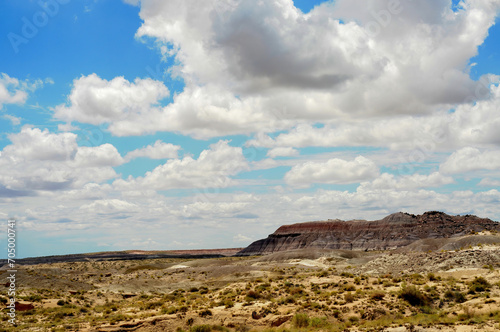 Rugged and Desolate Landscape Petrified Forest Arizona