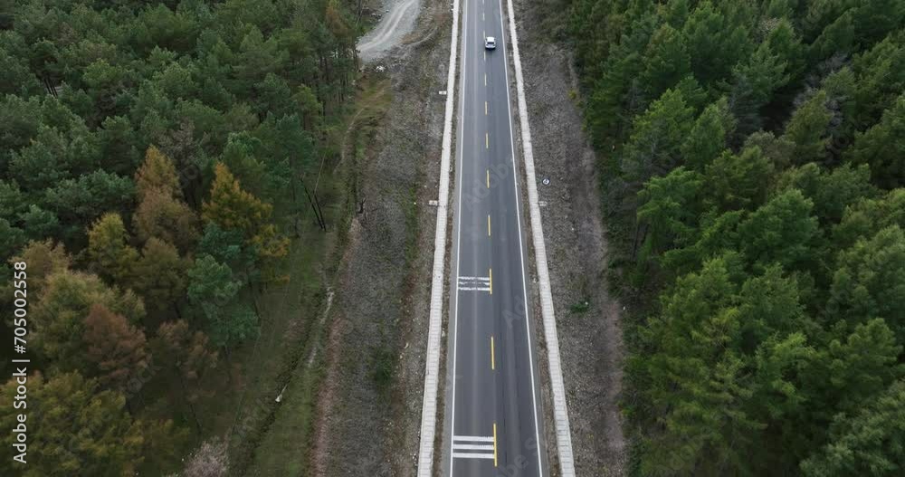 view of motorway in forest view of motorway in forest