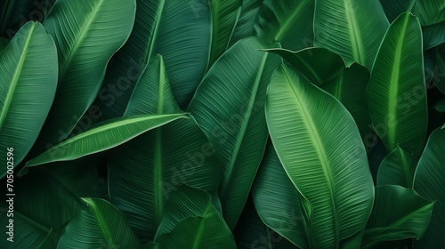 Closeup Tropical Green Leaf Background: Fresh Wallpaper Banner Concept AI Generated
