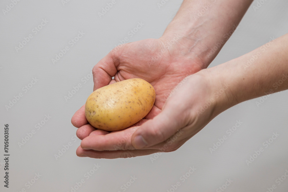 Potato Lover: Caucasian man Holding a Melody Potato Potato Lover: Caucasian man Holding a Melody Potato