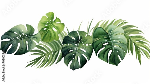 Exotic Plants and Palm Leaves on White Background AI Generated