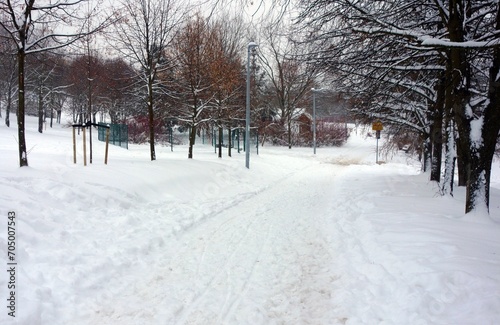 View of a walkway around trees covered with snow in a heavy snowfall winter