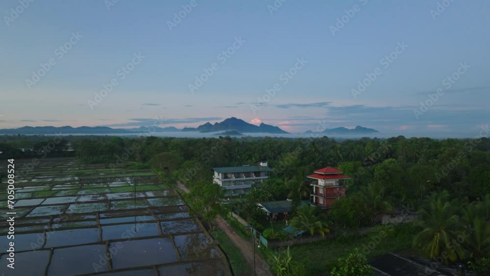 Aerial morning view of countryside in tropical destination. Wet paddy fields, dense vegetation and palm trees and silhouette of mountain ridge in background. Sigiriya, Sri Lanka