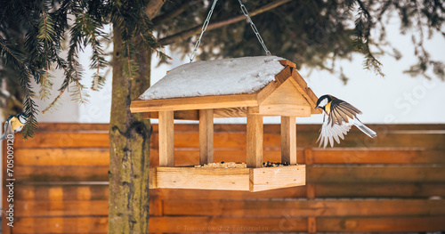 birds eating from the feeder in winter photo