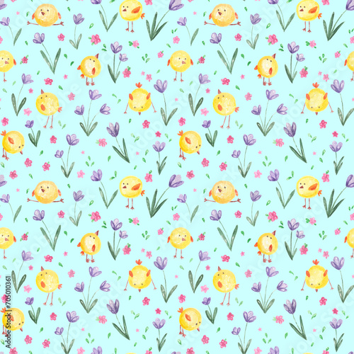 Little cute cartoon yellow chicks and fields with violet purple crocus flowers and pink florets.Spring natural botanical background on blue,easter backdrop