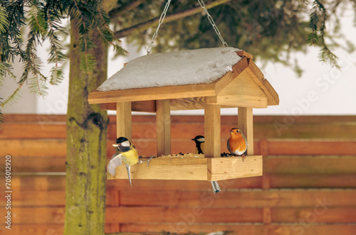 birds eating from the feeder in winter