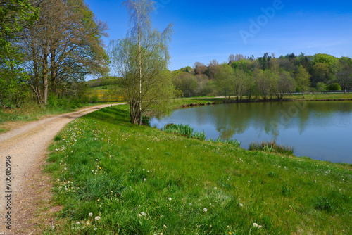 Spring landscape. Dirt road around the lake against the backdrop of blooming green spring nature