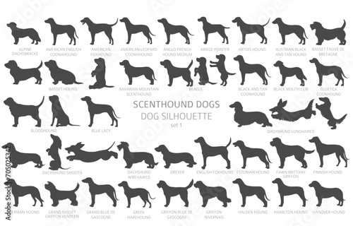 Dog breeds silhouettes with lettering, simple style clipart. Hunting dogs Scentounds, hounds collection