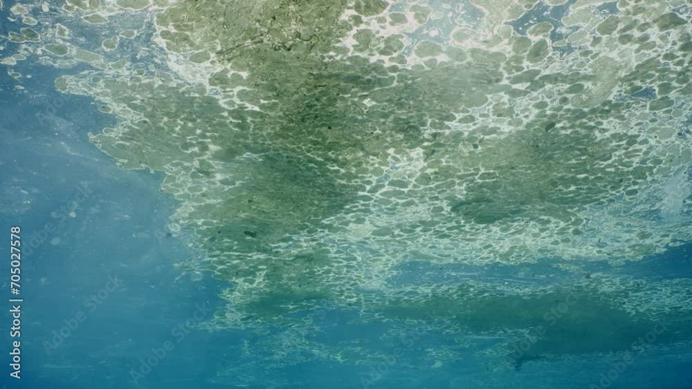 Slow motion of foods waste with plastic thrown from ship drifting along of water surface. Water surface of Ocean covered with layer of fat and plastic debris. Underwater shot, Close-up Slow motion of foods waste with plastic thrown from ship drifting along of water surface. Water surface of Ocean covered with layer of fat and plastic debris. Underwater shot, Close-up