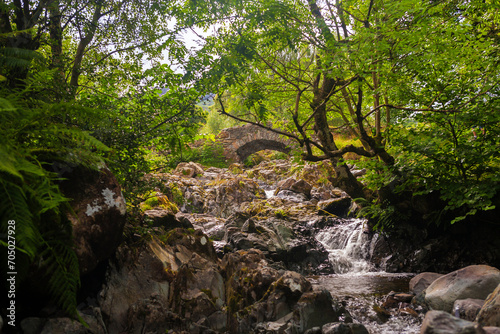 Trees shade the well-known Ashness Bridge, a traditional packhorse bridge over Barrow Beck, Borrowdale, Lake District, Cumbria, UK