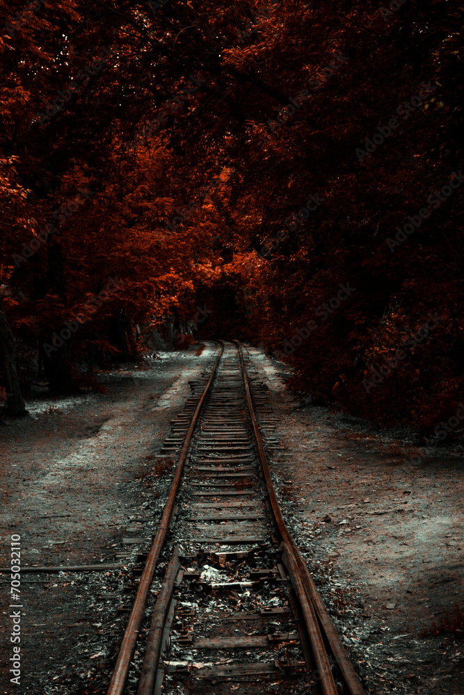 Fototapeta premium railway in the woods