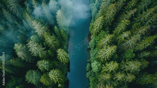 Aerial View of River Surrounded by Trees