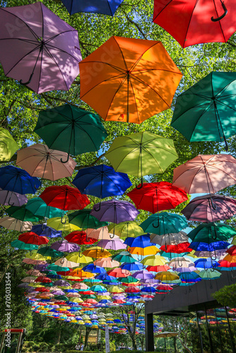 高崎区役所のアンブレラスカイ