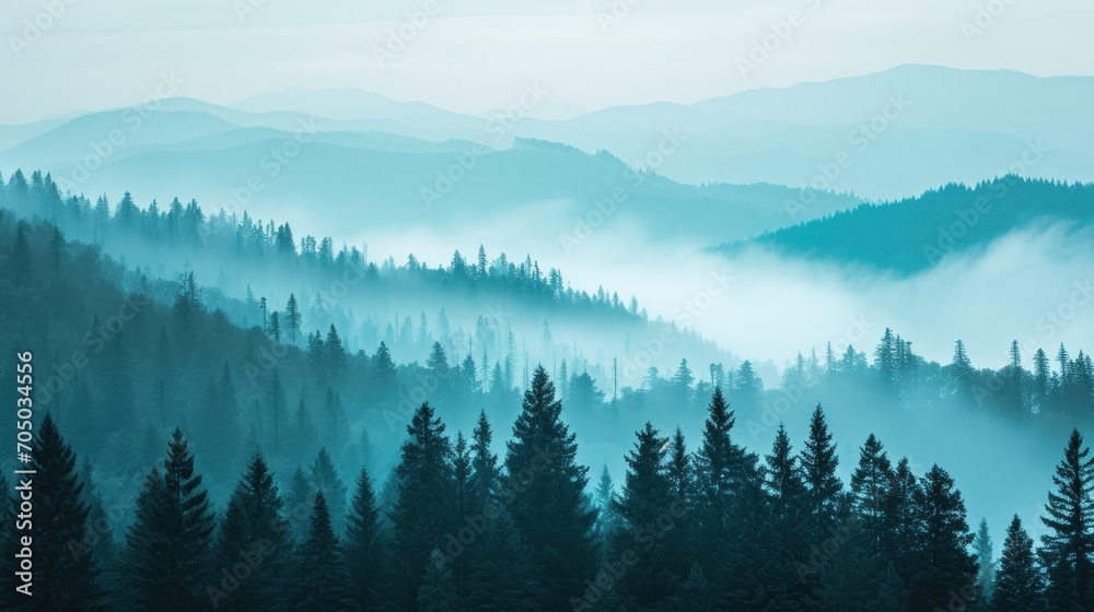 Enchanting Forest of Fog-Shrouded Trees