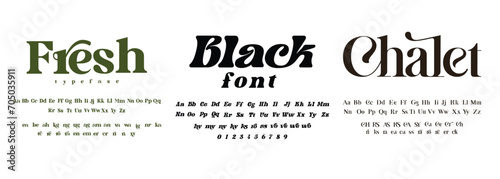 Set of different typefaces. Upper and lower case, set of ligatures. Ideal font for headlines and logos. Vector