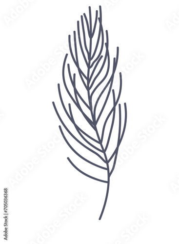 Floral element of a set in aesthetic design. The fine lines and details create a work of art that exudes botanic finesse against a white background. Vector illustration.