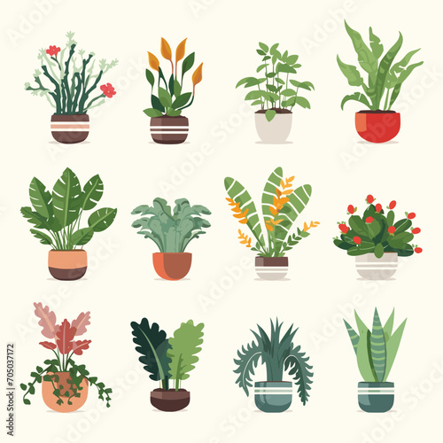 Set of potted plants for home. Different indoor houseplants isolated on white background. Vector illustration