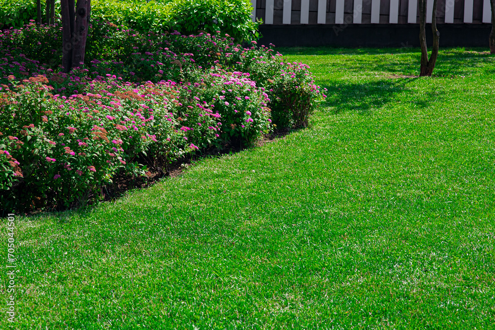 landscape design of a park with flowering bushes and green grass on a sunny spring day, nobody. landscape design of a park with flowering bushes and green grass on a sunny spring day, nobody.