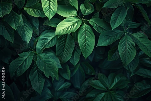 A close up of a green plant with leaves © StockWorld