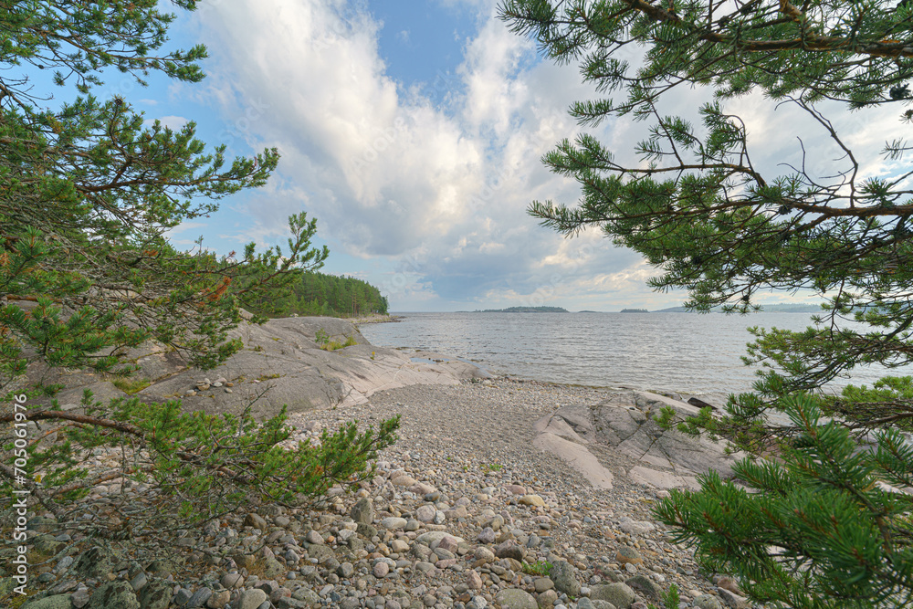 Landscape - fir trees on a rocky plateau under a blue sky with white clouds