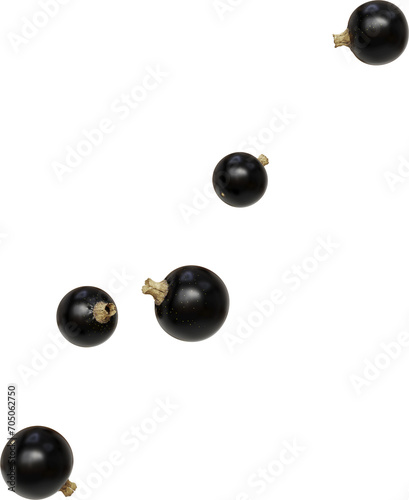 falling blackcurrant berries