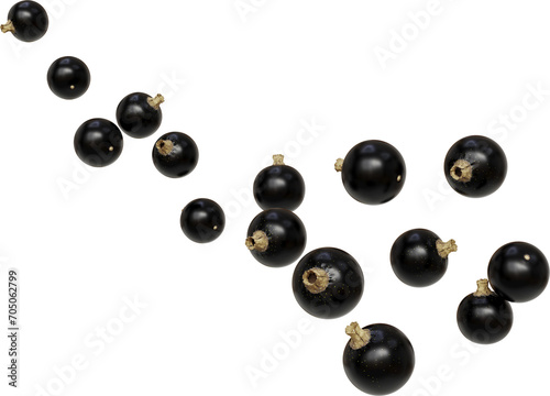 falling blackcurrant berries