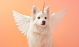 white eskimo dog with unicorn horn and wings on orange background