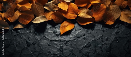 Copy space, illustration of fallen orange leaves faded cement black background