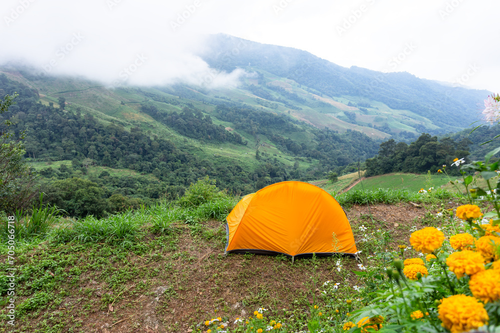 yellow tent near mountains in the forest