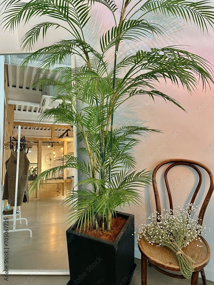 Obraz premium room with trees