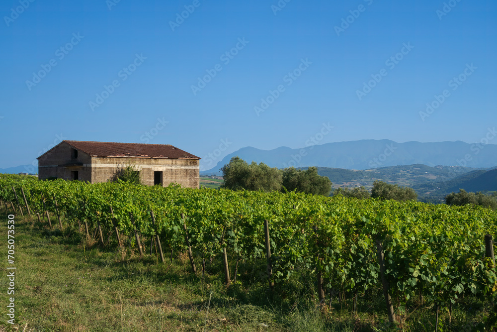 Rural landscape in Sannio, Benevento province, Italy Rural landscape in Sannio, Benevento province, Italy