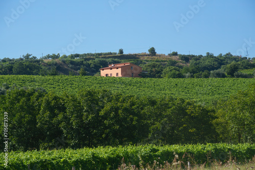 Rural landscape in Sannio  Benevento province  Italy