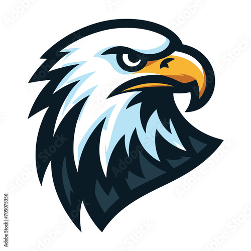 bird eagle hawk head logo mascot design vector illustration isolated on white background
