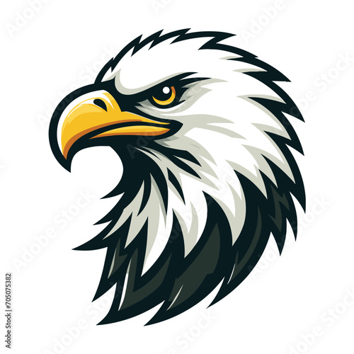 bird eagle hawk head logo mascot design vector illustration isolated on white background