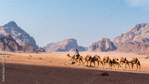 Caravane de dromadaires dans le d  sert du Wadi Rum en Jordanie - Moyen Orient